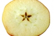 Manzana:
Cículo y disposición pentagonal de sus semillas